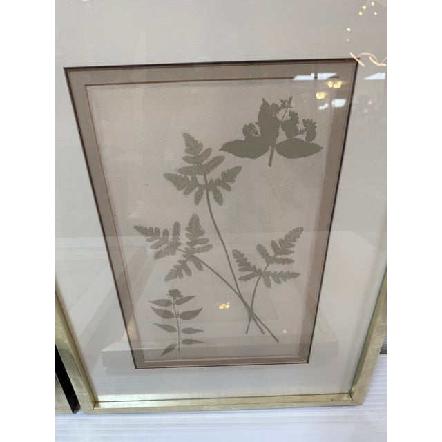 Wood Soicher Marin "Ghost Herberia in Celedon", Complete Series For Sale - Image 7 of 12