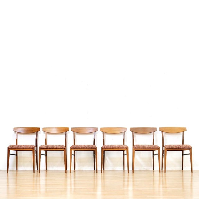 Set of Six Mid Century Dining Chairs Attributed McIntosh Furniture For Sale - Image 9 of 15