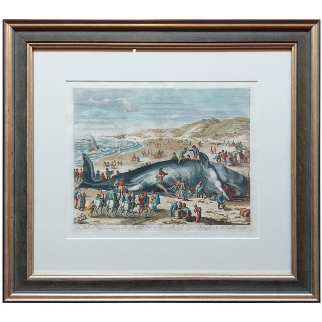 Paper Van Der Gouwen, Beached Whale, 1680, Paper, Framed For Sale - Image 7 of 7