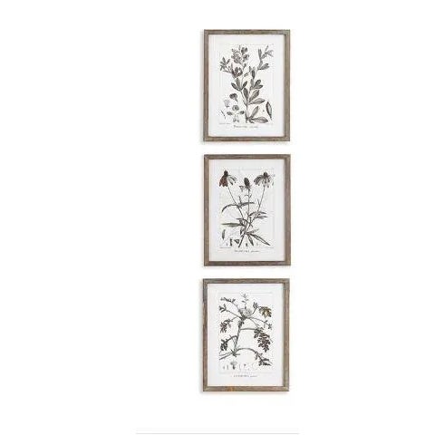 Rustic European Rustic Foliage Study in Wood Frames, Set Of 9 For Sale - Image 3 of 4