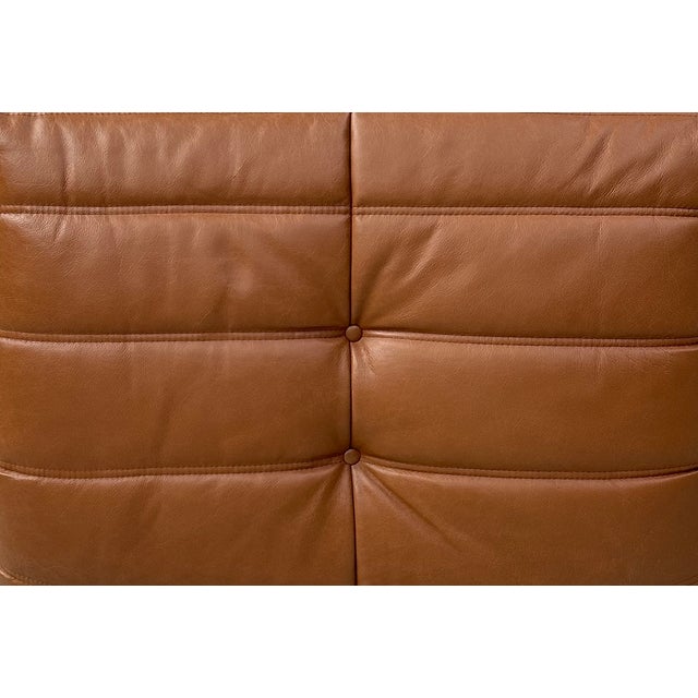 Togo Lounge Chair in Dark Cognac Leather attributed to Michel Ducaroy for Ligne Roset For Sale - Image 12 of 13