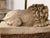 Wood Pair of Neoclassical Recumbent Lion Table Lamps - After Canova For Sale - Image 7 of 15