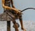 Fishing Pixie in Bronze For Sale - Image 3 of 11