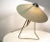 Beige Czech Modernist Desk Lamp by Helena Frantova for Okolo, 1950s For Sale - Image 8 of 11