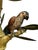 Mid 20th Century Bamboo Parrot Table Lamp For Sale In Atlanta - Image 6 of 9
