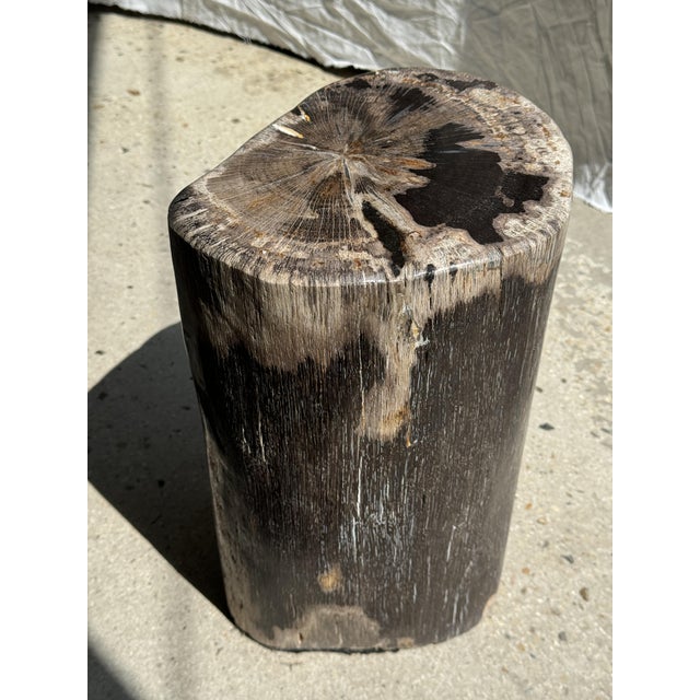 Brown Multicolored Petrified Wood Side Table For Sale - Image 6 of 18