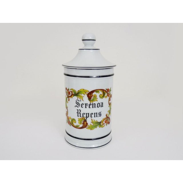 Old apothecary jar, earthenware pharmacy jar from Limoges France, hand painted Very beautiful Serenoa Repens apothecary...