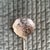 Sterling silver confection spoon. This spoon contains 13 grams of .925 sterling silver. 5 1/2 inches long. Manufactured...