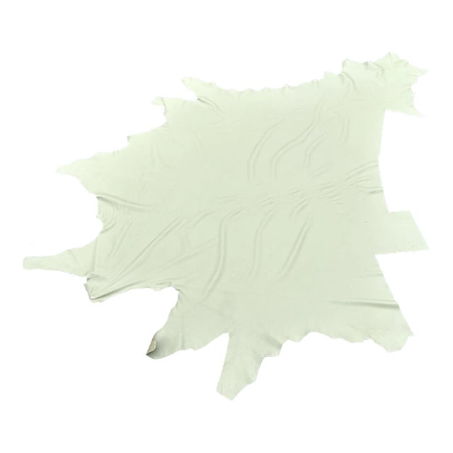 Celadon Aniline Dyed Leather Hide For Sale