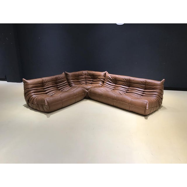 Togos Michel Ducaroy for Ligne Roset, Set of 3 For Sale - Image 5 of 18