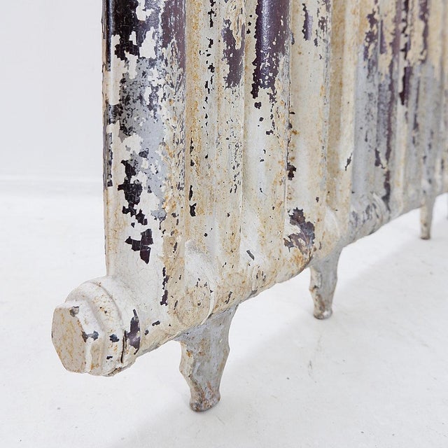 Victorian Cast Iron Radiator with Leafy Branches and Flowers, 1890s For Sale - Image 4 of 16