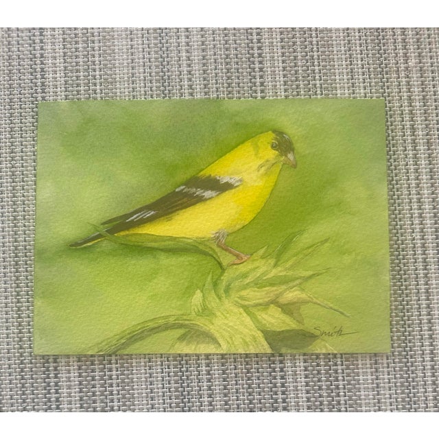 A vibrant yellow finch perches gracefully against a fresh green background, capturing the brightness of spring. The soft...