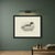 Paper After Lilian Medland, Goosander, 1909, Print For Sale - Image 7 of 9