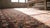 Textile 1880s Ivory Tribal Geometric Antique Knotted Pile Wool Afshar Persian Rug 4'0" X 6'0" Carpet For Sale - Image 7 of 9