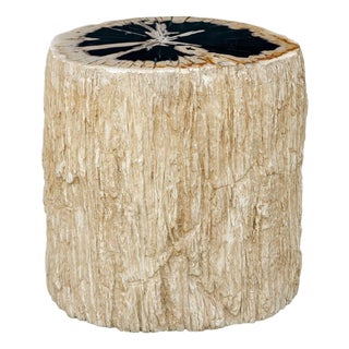 Arco Petrified Wood Top Accent Table For Sale