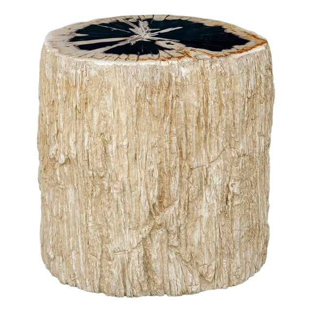 Arco Petrified Wood Top Accent Table For Sale