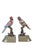 Early 21st Century Bronze Ceramic Reggilibri Parrots from Royal Family, Set of 2 For Sale - Image 5 of 5