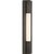 Ian K. Fowler for Visual Comfort Signature Ellington 16" Slimline Bath Light in Bronze with White Glass For Sale
