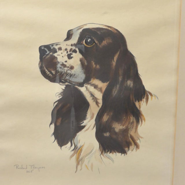 This wonderful, color chromolithograph of a Springer Spaniel dog, has enormous appeal. Not only is this elegant vintage...