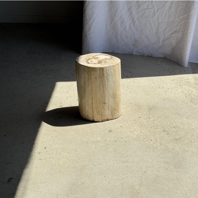 Oval White Petrified Wood Side Table, 1980s For Sale - Image 6 of 18