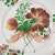 A 19th century French faience charger or platter with typical hand painted burgundy floral decoration from St Clement in...
