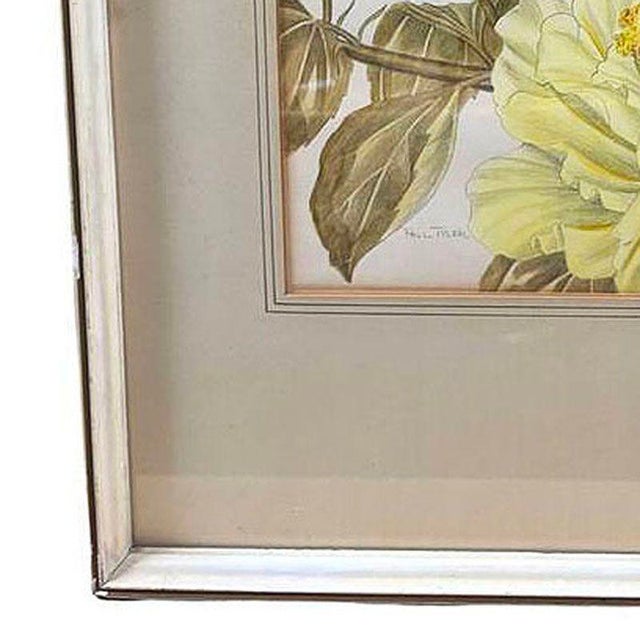 Mid-Century Modern Mid-Century Hawaiian Framed Hibiscus Water Color Floral on Paper by Paul Tyler For Sale - Image 3 of 4