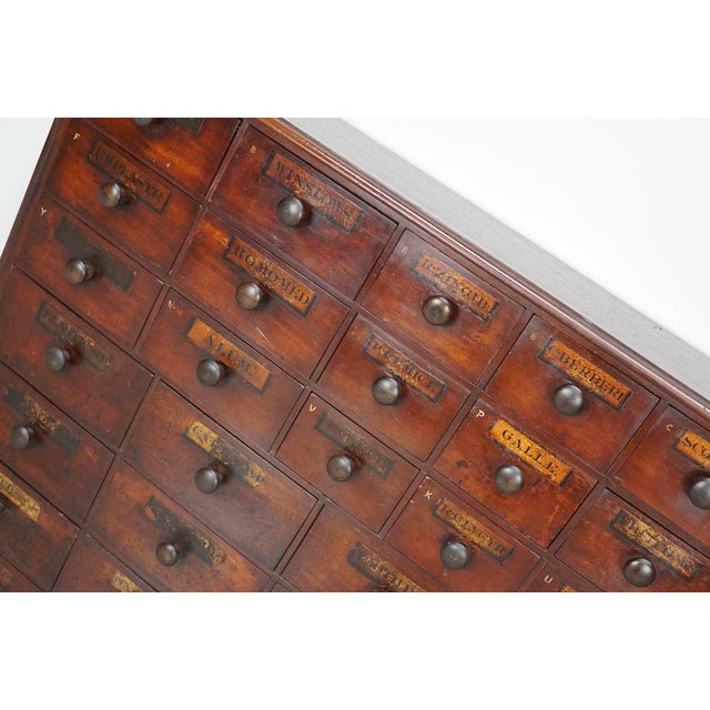 19th Century Hardwood Apothecary Cabinet, England For Sale - Image 6 of 18