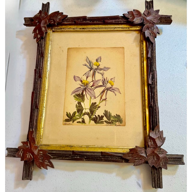 Lyman Byxbe’s botanical monotypes, such as his “Wild Rose” and “Columbine” prints, are rare and elegant examples of his...