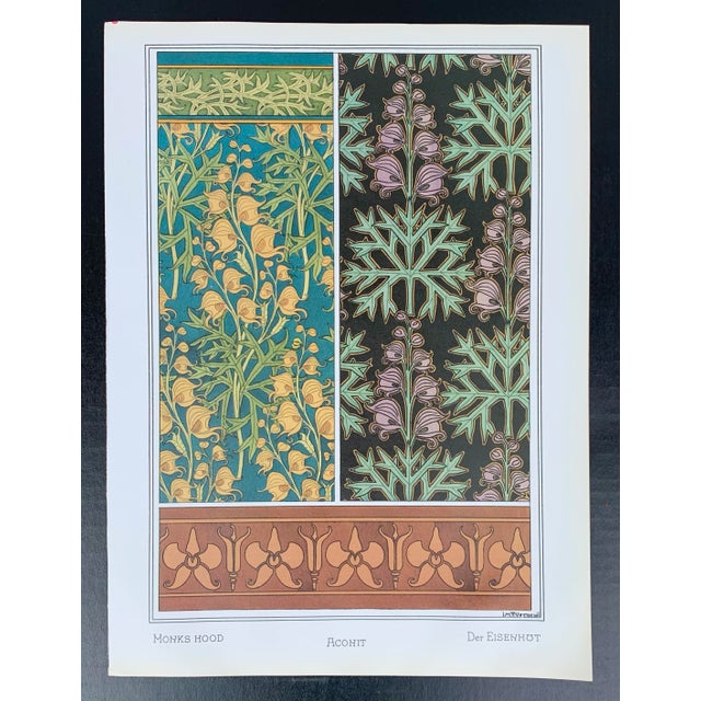 Art Nouveau Wildflower Botanical Illustration Monkshood Wolfsbane Aconite For Sale - Image 4 of 5