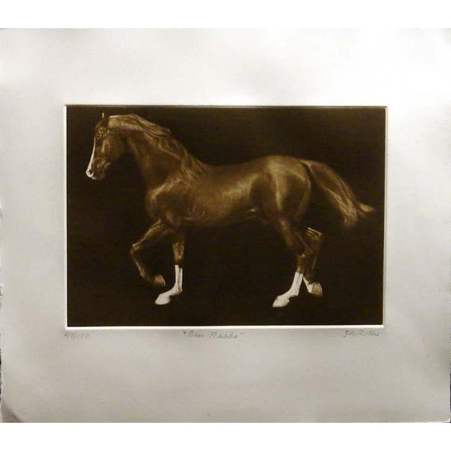 Impressionist g.h Rothe "Ben Rabba" Brown Horse Mezzotint Etching Hand Signed Framed Obo For Sale - Image 3 of 3