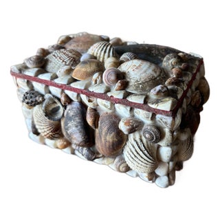 Vintage English Shell Box For Sale