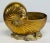Nautical Large Vintage Solid Brass Nautilus Shell Planter Cachepot or Bottle Chiller For Sale - Image 3 of 12