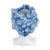 A showpieces for your home or garden, the Sicilian Heads Blue Bubble Head brims with impeccable detail and rich, lush...