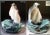 Ceramic Bowl with Pinguins by Ditmar Urbach For Sale - Image 4 of 5