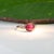 Metal 3.2ct Star Ruby Cabochon Ring With Earth-Mined Diamond Accents in Solid 14k Gold, Size 6.75 For Sale - Image 7 of 9