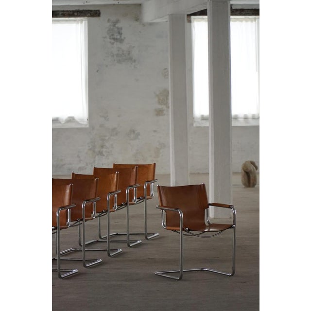 Brown Vintage Cantilever Armchairs in Cognac Leather by Mart Stam for Matteo Grassi, 1960s, Set of 6 For Sale - Image 8 of 18