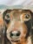 Figurative 16" Square Pillow Decorated With an Adorable Doxie /Dachshund Dog Portrait - Made in the U K For Sale - Image 3 of 10
