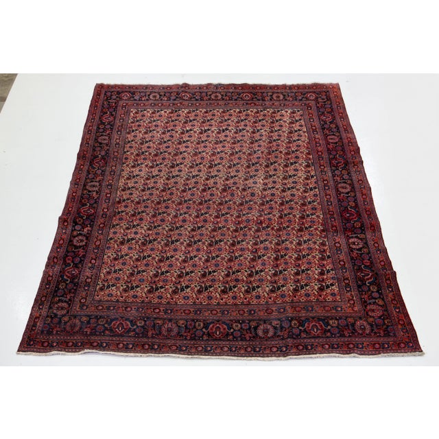 This beautiful Persian hand knotted wool rug has a tan field with an allover design in red and blue. This rug measures 10'...