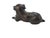 Antique Solid Bronze Bulldog Sculpture, Late 19th–Early 20th Century For Sale - Image 9 of 12