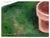 1960s Mid Century Gardener's Still Life by Eleanor Perry For Sale - Image 5 of 5