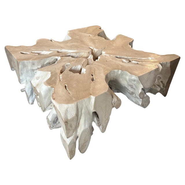 2010s Andrianna Shamaris Organic Bleached Teak Wood Coffee Table For Sale - Image 5 of 18