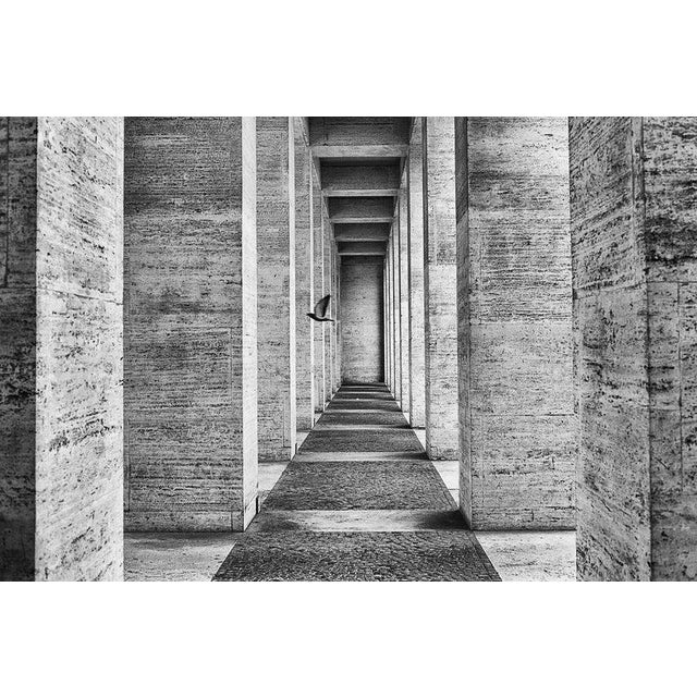 A dreamlike trip in some places - not places suspended in time and space. Photo shoot to EUR district, Rome (Italy)...