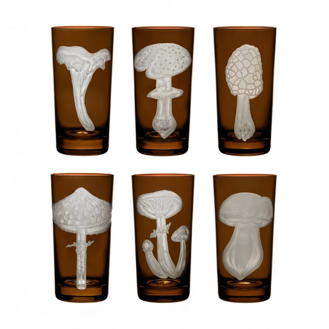 Brown ARTEL Mushrooms Collection Highball in Walnut - Set of 6 For Sale - Image 8 of 8