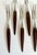 Mid-Century Modern Mid-Century Danish Modern Stainless Steel & Teak Appetizer Forks – Set of 13 For Sale - Image 3 of 7