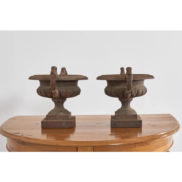 Coffee Pair of Diminutive English Cast Iron Urn Jardinaires For Sale - Image 8 of 13