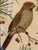 This vintage KayDee Design featuring Cardinals framed in a hand painted linen textile piece. It is from the 1960-1970's....
