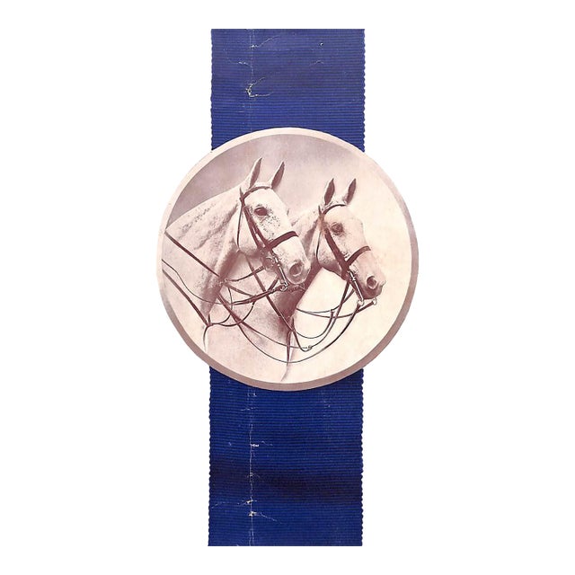 Abercrombie & Fitch the Art of Riding For Sale