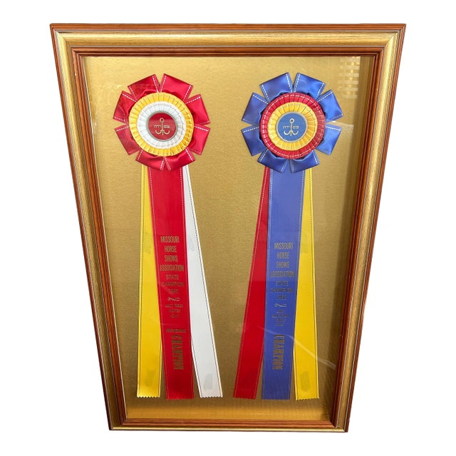 Framed Missouri Horse Show Champion Rosettes, Equestrian Wall Art, 1992 For Sale