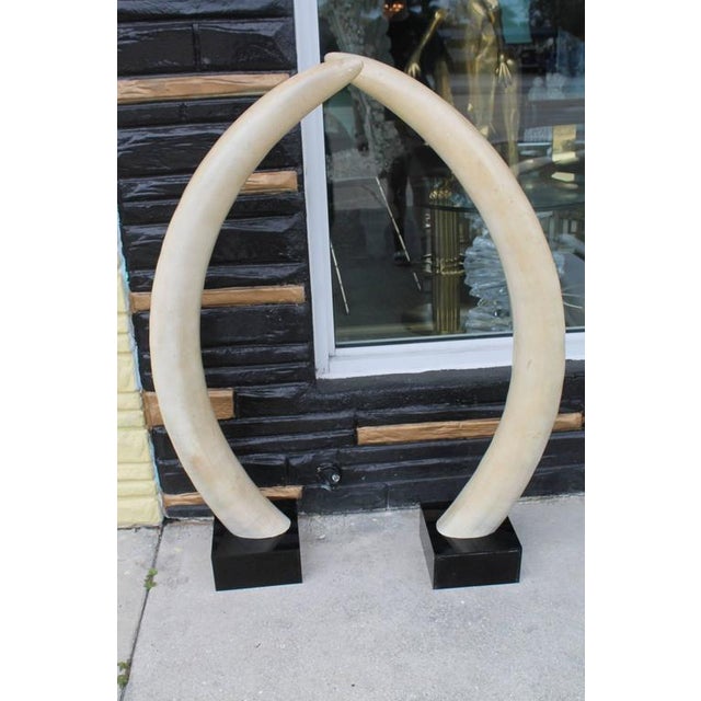 Faux Elephant Tusks on Lucite Bases A Pair Chairish