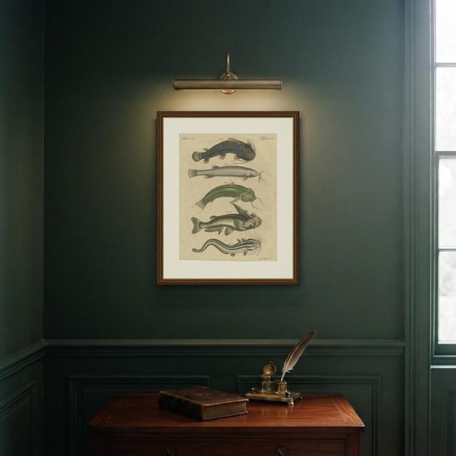 Bertuch, Five Catfish with Long Barbels, 1815, Print For Sale - Image 10 of 12